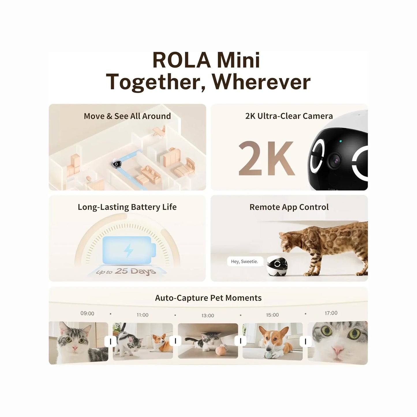 smart tech store Canada. premium tech accessories Canada. Enabot Rola Mini Companion Robot. Gallery image 2. The image features a product layout for the ROLA Mini camera, presented in a clean, light-colored design. The camera is depicted in the top right corner, showcasing its glossy black and white body with a prominent lens and playful facial features.