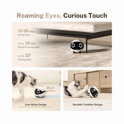 smart tech store Canada. premium tech accessories Canada. Enabot Rola Mini Companion Robot. Gallery image 3. A small, round robotic toy with a white body and black facial features sits on a light-colored carpet, positioned near the edge of a low-profile bed frame. Its large, expressive eyes give it a playful appearance. The background features a wooden dresser with a circular hole, and a curious cat leans in to interact with the toy.