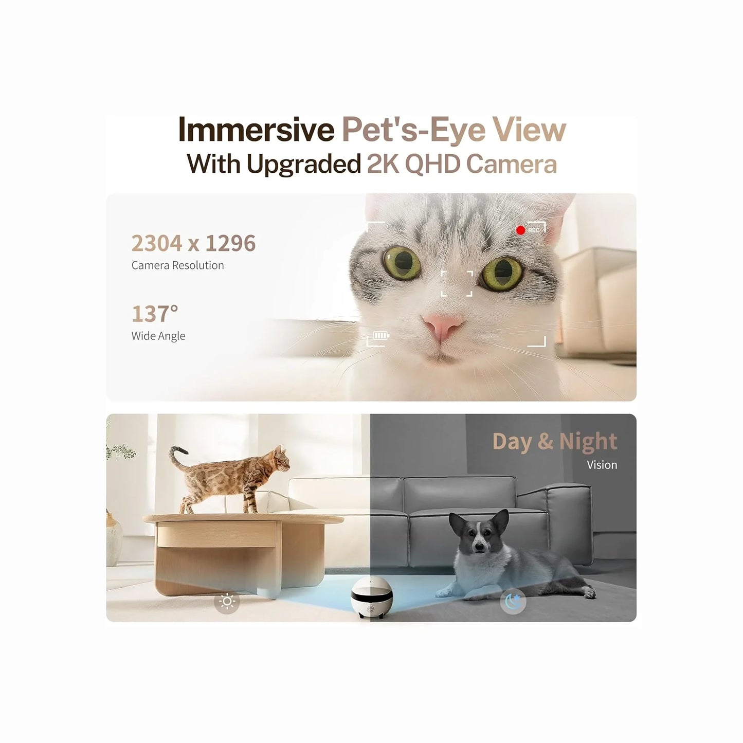 smart tech store Canada. premium tech accessories Canada. Enabot Rola Mini Companion Robot. Gallery image 4. The image features a split design showcasing a pet camera's capabilities. The top half displays a close-up of a cat's face, highlighting its large, expressive eyes, with a red recording indicator visible. Below, a scene shows a cat walking on a light wooden coffee table in a bright, modern living room, while a dog lies on a grey couch.