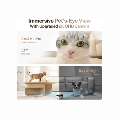 smart tech store Canada. premium tech accessories Canada. Enabot Rola Mini Companion Robot. Gallery image 4. The image features a split design showcasing a pet camera's capabilities. The top half displays a close-up of a cat's face, highlighting its large, expressive eyes, with a red recording indicator visible. Below, a scene shows a cat walking on a light wooden coffee table in a bright, modern living room, while a dog lies on a grey couch.