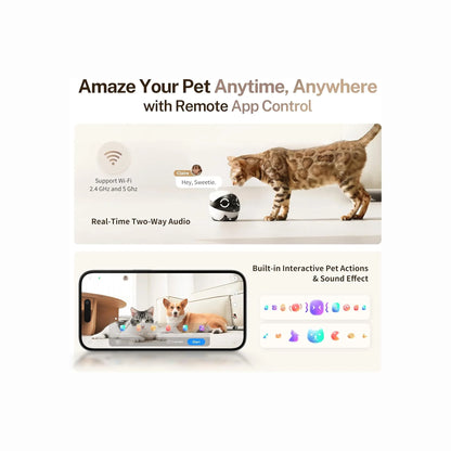 smart tech store Canada. premium tech accessories Canada. Enabot Rola Mini Companion Robot. Gallery image 5. A playful tabby cat interacts with a small, round white device featuring a black face, positioned on a light-colored surface. The device is centered in the frame, with the cat curiously leaning towards it. In the background, a smartphone displays two pets—a cat and a dog—on a bright, minimalistic surface, with colorful icons and buttons visible on the screen.