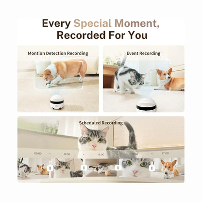 smart tech store Canada. premium tech accessories Canada. Enabot Rola Mini Companion Robot. Gallery image 8. A small, round white camera sits on a light wooden surface, capturing playful pets in a bright, well-lit room. The camera is positioned centrally, with a corgi playing with a ball in the foreground and a cat exploring nearby. Above the camera, text reads, "Every Special Moment, Recorded For You," with sections labeled for different recording modes.
